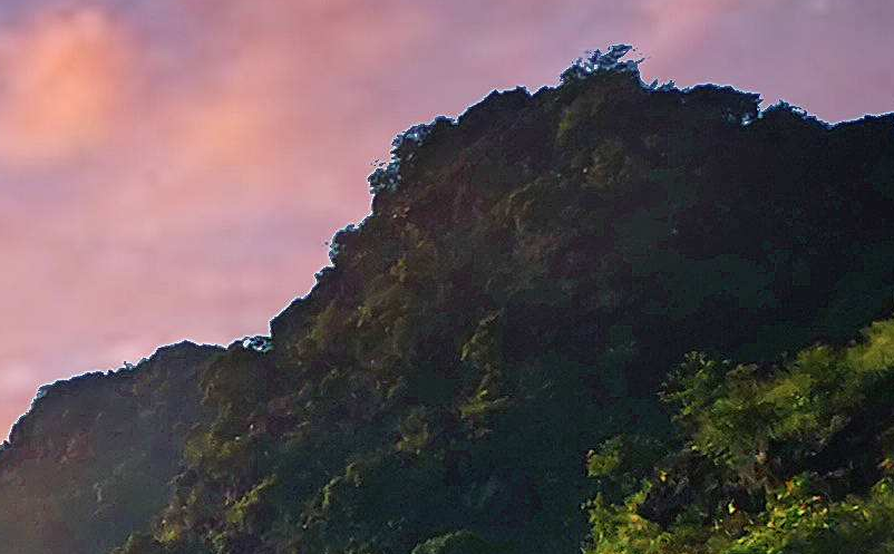 景區(qū)自媒體營銷手段