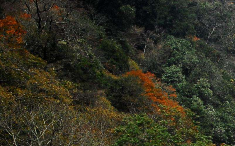 影視旅游目的地集合粉絲群體，助力景區(qū)精準(zhǔn)營銷