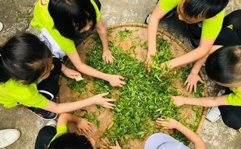 親子研學(xué)、家庭休閑為主要出游動(dòng)機(jī)
