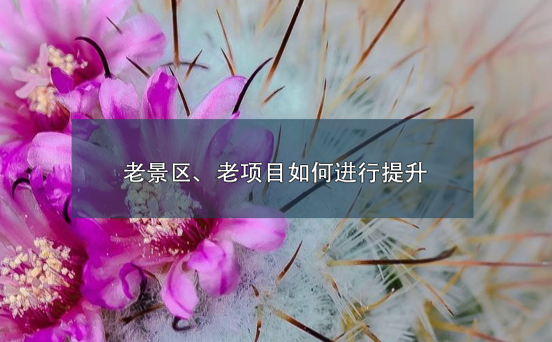 老景區(qū)、老項(xiàng)目如何進(jìn)行提升