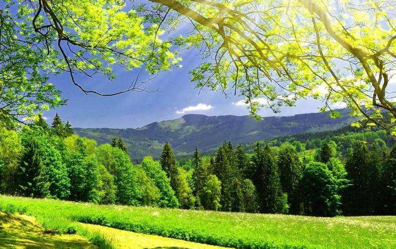 景區(qū)如何服務(wù)好本地游客，做好本地游客市場