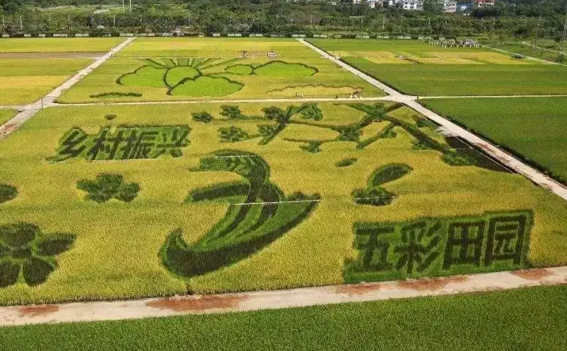 游客旅游需求和觀念變化推動景區(qū)轉型升級
