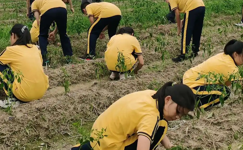 繼“雙減”政策后，如何創(chuàng)新研學(xué)旅游產(chǎn)品和服務(wù)