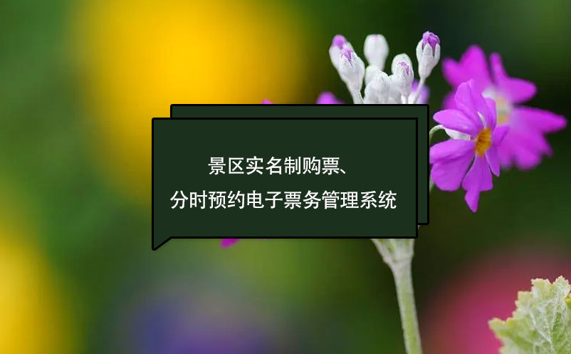 景區(qū)實(shí)名制購票、分時(shí)預(yù)約訂票電子票務(wù)管理系統(tǒng)