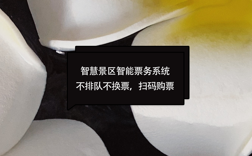 智慧景區(qū)智能票務(wù)系統(tǒng)不排隊不換票，掃碼購票