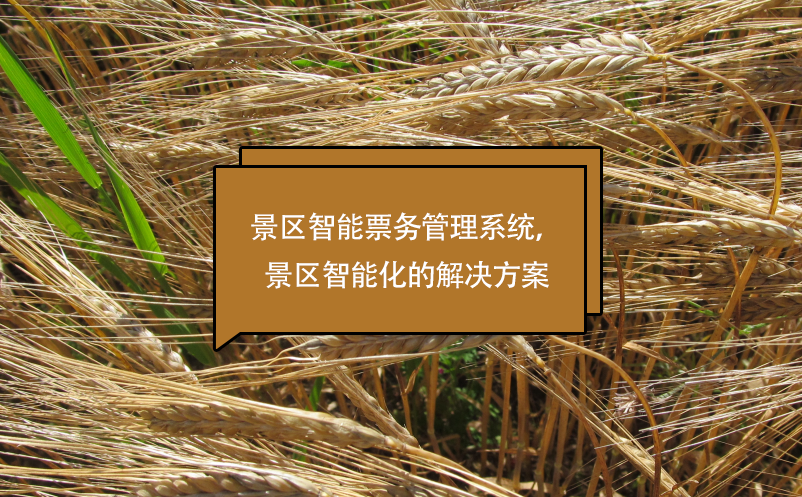 景區(qū)智能票務(wù)管理系統(tǒng)，景區(qū)智能化的解決方案