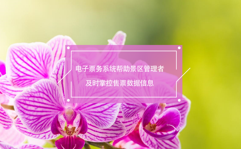 電子票務系統(tǒng)幫助景區(qū)管理者及時掌控售票數(shù)據(jù)信息