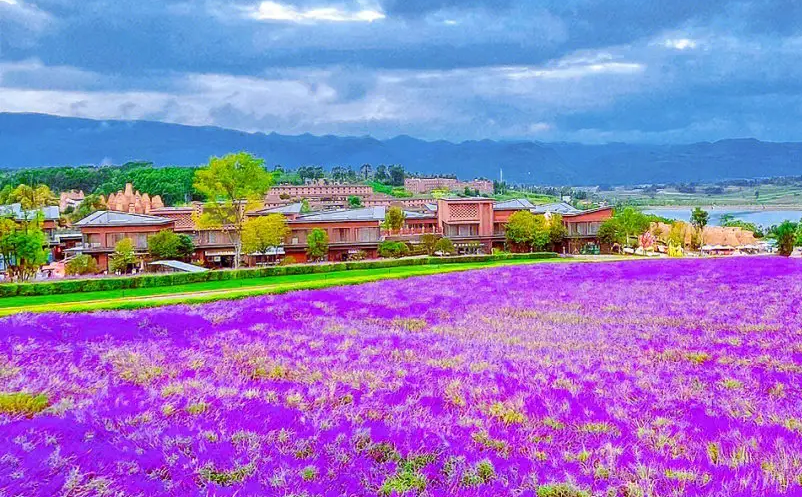 景區(qū)門票銷售混亂怎么辦？試試易景通景區(qū)票務(wù)系統(tǒng)