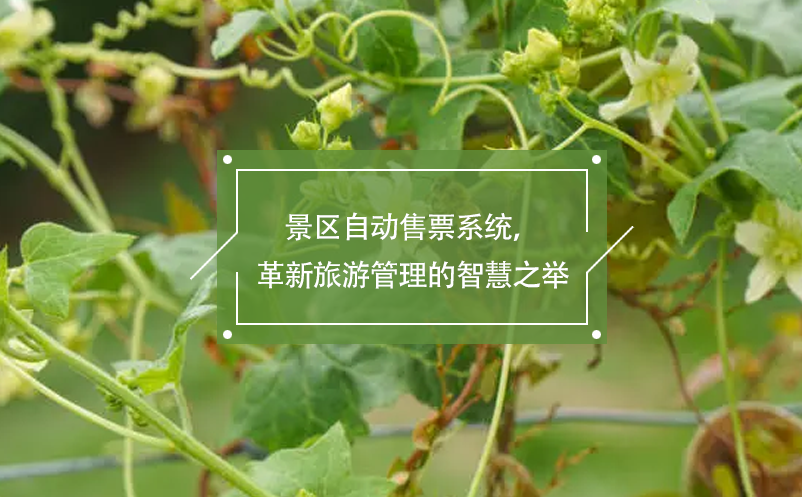 景區(qū)自動(dòng)售票系統(tǒng)，革新旅游管理的智慧之舉