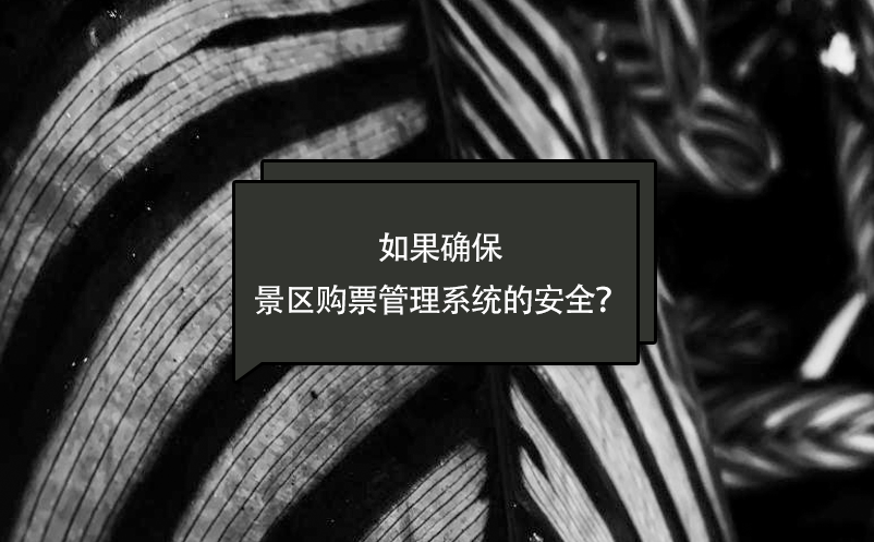 如果確保景區(qū)購票管理系統(tǒng)的安全？