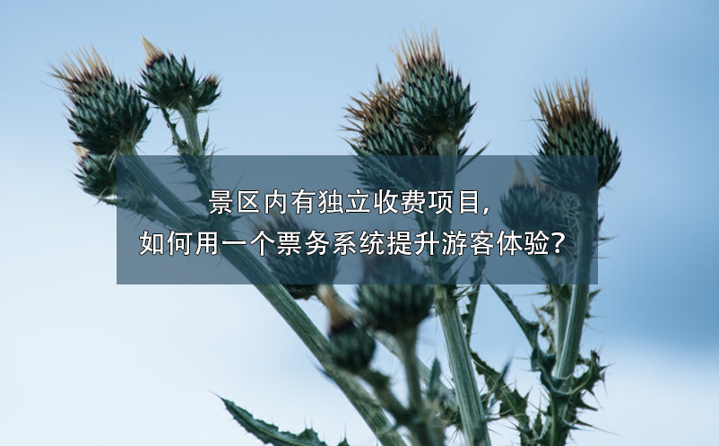 景區(qū)內(nèi)有獨(dú)立收費(fèi)項(xiàng)目，如何用一個(gè)票務(wù)系統(tǒng)提升游客體驗(yàn)？