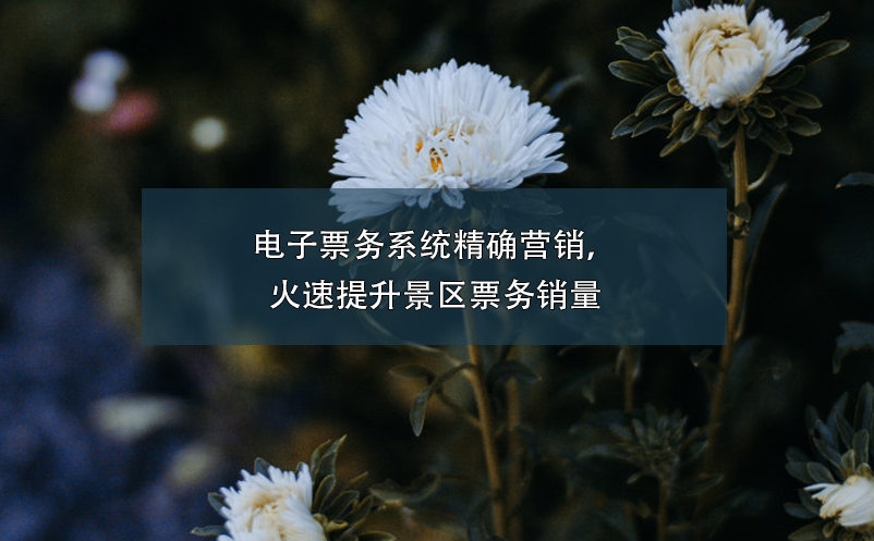 電子票務(wù)系統(tǒng)精確營銷，火速提升景區(qū)票務(wù)銷量