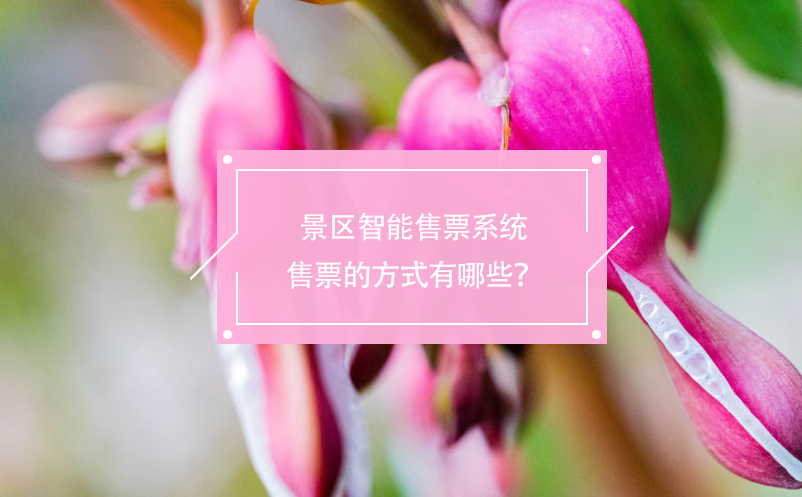 景區(qū)智能售票系統(tǒng)售票的方式有哪些？