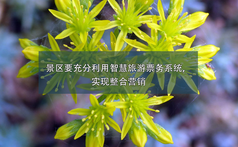 景區(qū)要充分利用智慧旅游票務(wù)系統(tǒng)，實現(xiàn)整合營銷