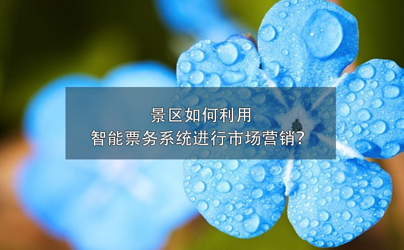 景區(qū)如何利用智能票務(wù)系統(tǒng)進行市場營銷？