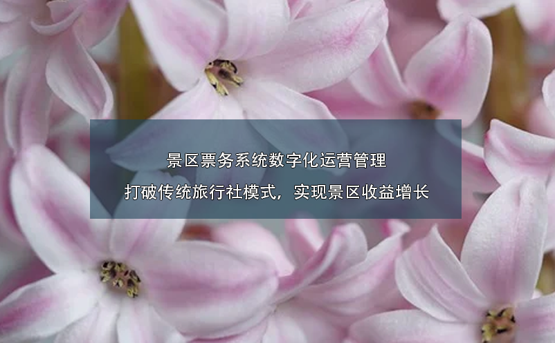 景區(qū)票務(wù)系統(tǒng)數(shù)字化運營管理：打破傳統(tǒng)旅行社模式，實現(xiàn)景區(qū)收益增長