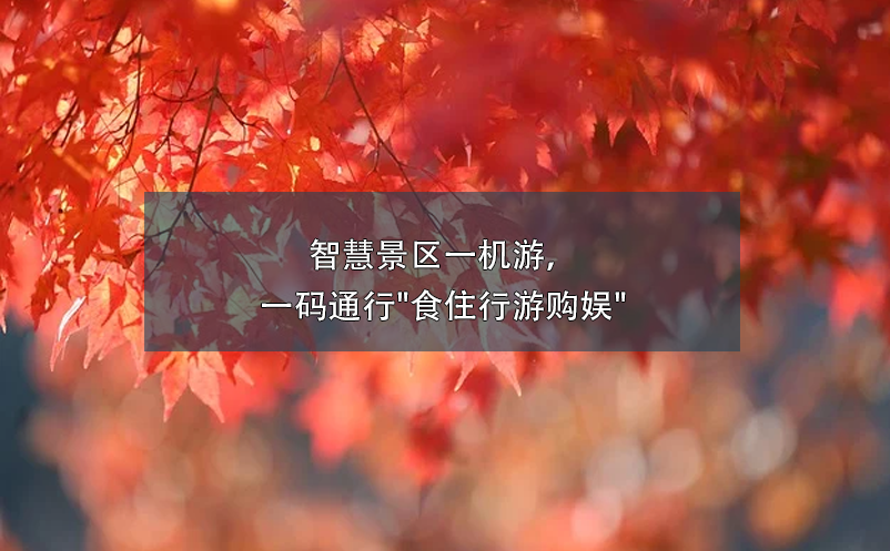 智慧景區(qū)一機游，一碼通行