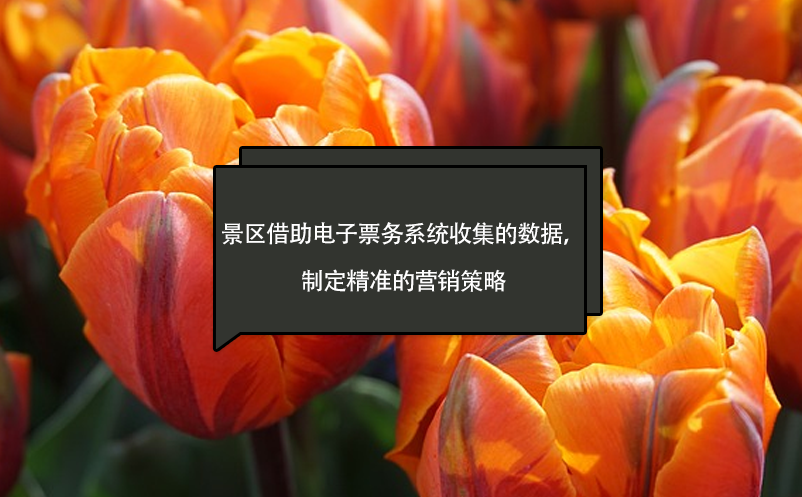 景區(qū)借助電子票務(wù)系統(tǒng)收集的數(shù)據(jù)，制定精準(zhǔn)的營(yíng)銷策略