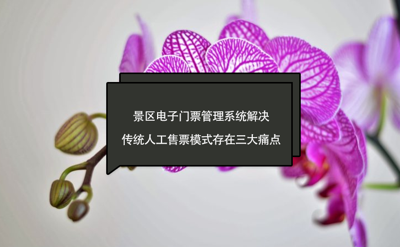景區(qū)電子門票管理系統(tǒng)解決傳統(tǒng)人工售票模式存在三大痛點