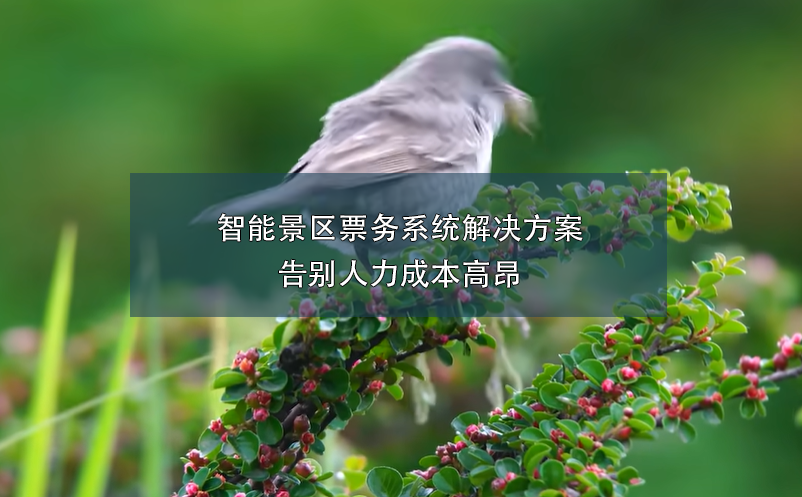 端午小長假，智能票務(wù)系統(tǒng)如何在確保游客體驗和提升景區(qū)的管理？