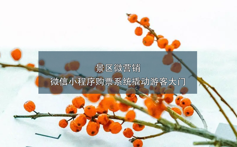 景區(qū)微營銷：微信小程序購票系統(tǒng)撬動(dòng)游客大門