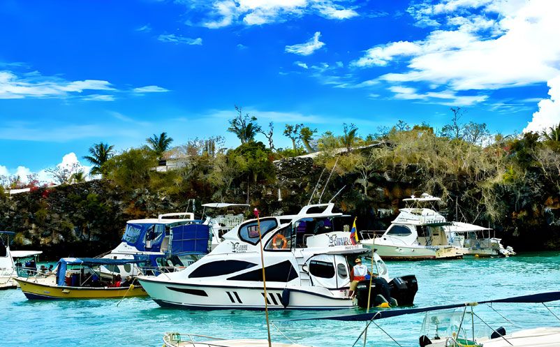 易景通簽約太平洋明珠航運(yùn)，西班牙語(yǔ)票務(wù)系統(tǒng)，開啟國(guó)際化新篇章