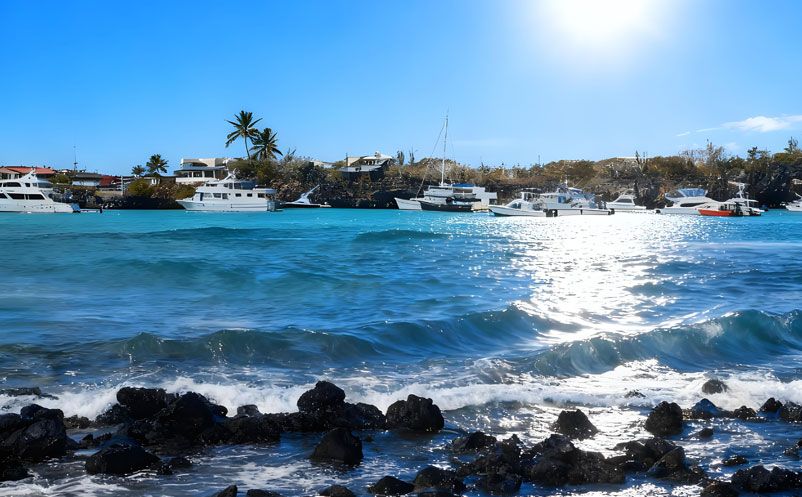 易景通簽約太平洋明珠航運(yùn)，西班牙語(yǔ)票務(wù)系統(tǒng)，開啟國(guó)際化新篇章