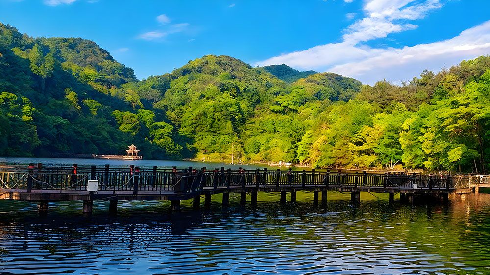 易景通為陽明山國家森林公園打造線上線下結(jié)合的景區(qū)售票系統(tǒng)