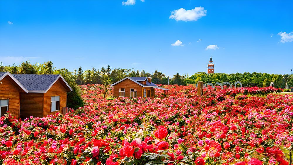 巴夫洛生態(tài)谷升級景區(qū)票務(wù)系統(tǒng)，采用易景通景區(qū)票務(wù)系統(tǒng)